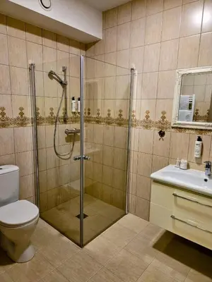 a bathroom with a shower and a toilet and a sink at Vilhelmhaus in Dėdeliškės