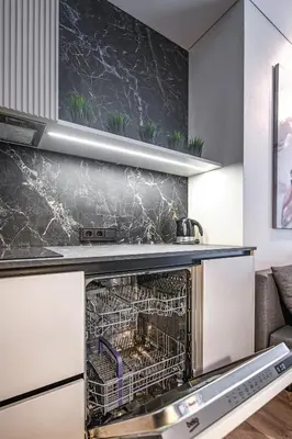 a dishwasher in a kitchen with a sink at Botanical Garden Loft in Kaunas