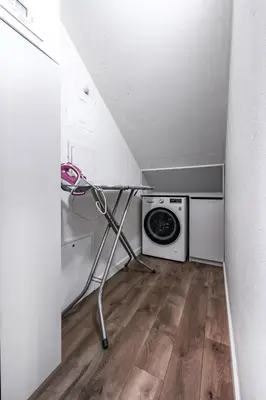 a laundry room with a washer and a washing machine at Botanical Garden Loft in Kaunas