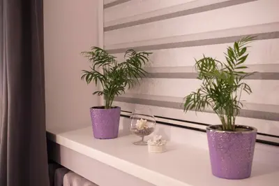 two plants in purple vases sitting on a shelf at Siauliai Apartments - Lieporiu in Šiauliai