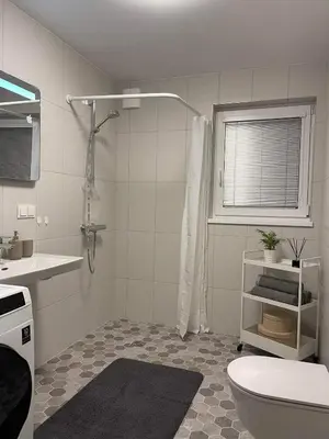 a bathroom with a shower and a toilet and a sink at Mandarinas in Anykščiai