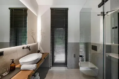 a bathroom with a sink and a toilet and a shower at Villa The Lake in Mindūnai