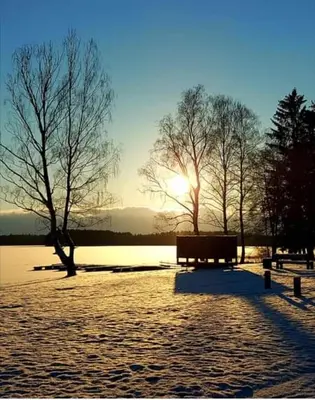 a park bench sitting in front of a body of water at Lake apartment in Visaginas
