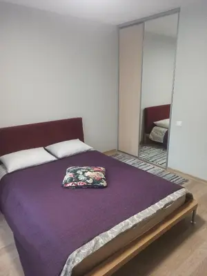 a bedroom with a bed and a mirror at Lake apartment in Visaginas