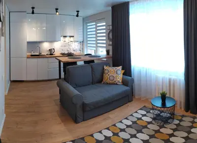 a living room with a couch and a kitchen at Studija Alytuje in Alytus