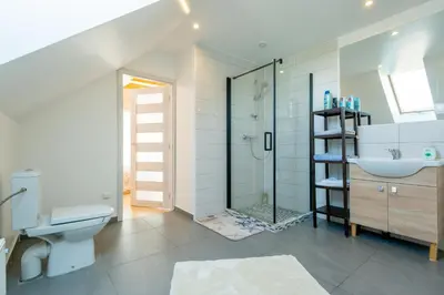 a bathroom with a shower and a toilet and a sink at Jaukus svečių namelis in Druskininkai