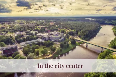 in the city center in the city center at Cozy Center Druskininkai in Druskininkai