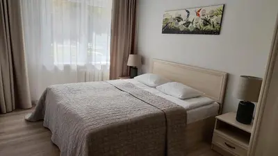 a bedroom with a bed and a window at Adelės apartamentai in Druskininkai