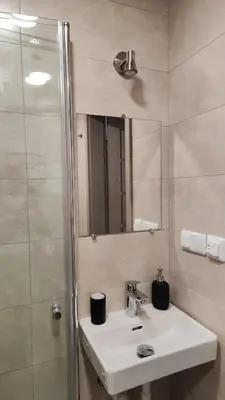a bathroom with a sink and a shower and a mirror at Adelės apartamentai in Druskininkai