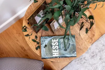 a wooden table with a plant and a book on it at Luxury Gaono in Old Town in Vilnius