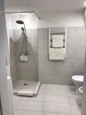 a bathroom with a shower with a toilet and a sink at City center apartment in Alytus