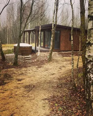 a wooden cabin in the woods with trees at Riešutynė in Gražuliai