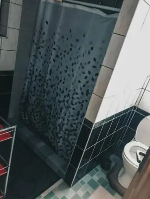 a shower in a bathroom with a toilet at Laukupės sodyba in Rokiškis