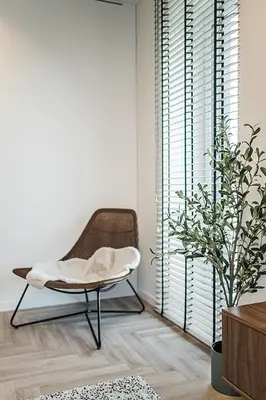 a living room with a chair and a plant at Cozy Piliamiesčio apartament No 1 by URBAN RENT in Kaunas