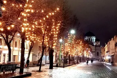 a city street with christmas lights on trees at Laisves Apartment Kaunas in Kaunas