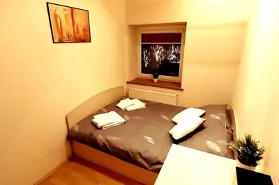 a small bedroom with a bed and a window at Laisves Apartment Kaunas in Kaunas
