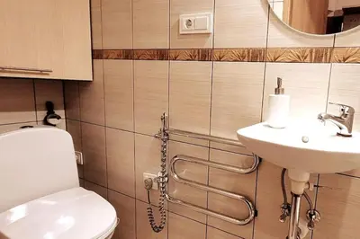 a bathroom with a toilet and a sink at Laisves Apartment Kaunas in Kaunas