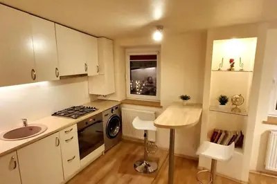a small kitchen with a sink and a stove at Laisves Apartment Kaunas in Kaunas