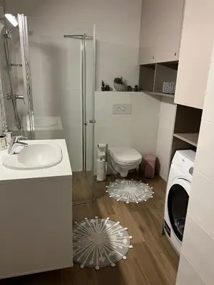 a bathroom with a sink toilet and a washing machine at Pink Peony in Druskininkai