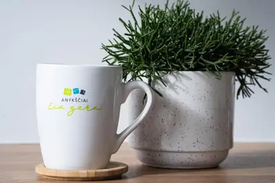 two white cups sitting next to a potted plant at Čia gera studio in Anykščiai
