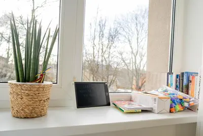 a window sill with a monitor and books and a plant at Čia gera studio in Anykščiai