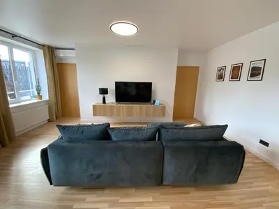 a living room with a couch and a flat screen tv at Alėjos Apartmentai Comfort in Druskininkai