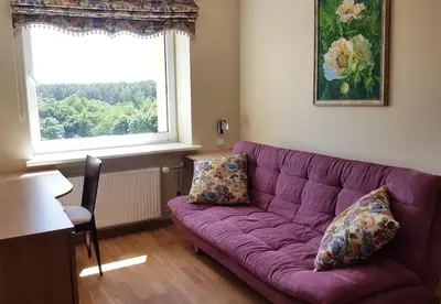 a purple couch in a living room with a window at Cozy apartments in Druskininkai with panorama view in Druskininkai