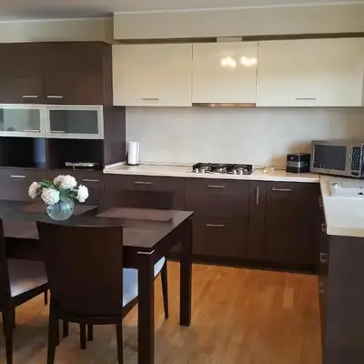 Cozy apartments in Druskininkai with panorama view