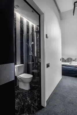 a bathroom with a toilet and a shower at Berman House in Kaunas