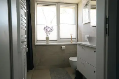 a bathroom with a toilet and a sink and a window at Grey Green Cozy Apartment in Birštonas