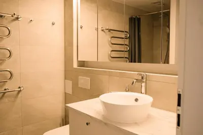 a bathroom with a white sink and a mirror at Grey Green Studio Apartment in Birštonas