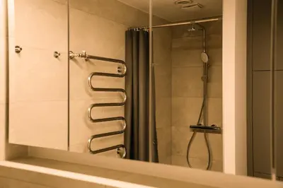 a bathroom with a shower and a mirror at Grey Green Studio Apartment in Birštonas