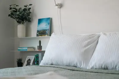 a bed with a white pillow and a shelf at Grey Green Studio Apartment in Birštonas