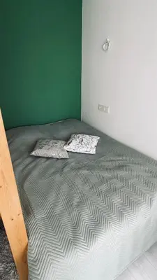 a bed in a green room with two pillows on it at Ozo flat in Vilnius