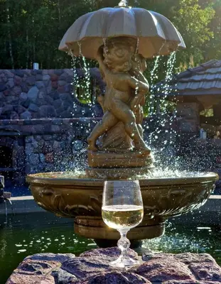 a glass of wine sitting next to a fountain at Viesu vila Trakai ,su ežero pakrante in Meiluškės