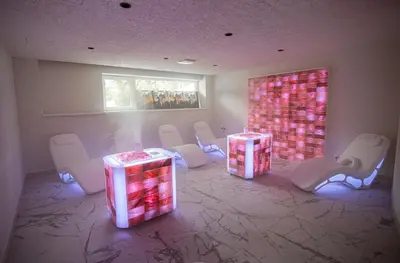 a room with chairs and a table and a painting at Mineral SPA Draugystė in Druskininkai