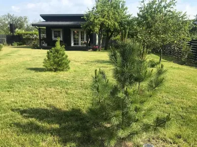 a small house with trees in a yard at Atostogų namelis Laukys in Druskininkai