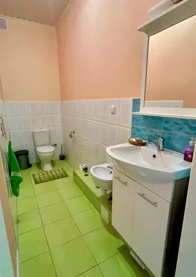 a bathroom with a sink and a toilet at Wonderful 8 Bedroom Home near Vilnius in Didžioji Reišė