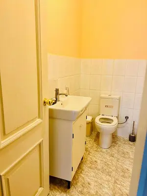 a bathroom with a sink and a toilet at Wonderful 8 Bedroom Home near Vilnius in Didžioji Reišė