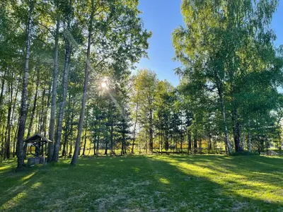 a park with trees and a gazebo at Svečių namai prie Širvintų in Akmeniai