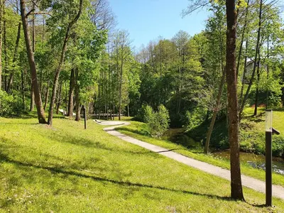 a path through a park with trees and grass at Apartamentai ŠERMUKŠNIS in Druskininkai