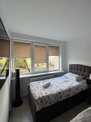 a bedroom with a bed and two windows at APARTMENTS IN THE CITY CENTER BIRŽAI Vytauto g22 in Biržai