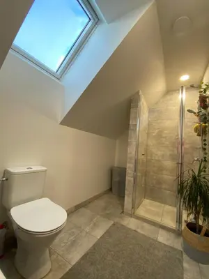 a bathroom with a toilet and a shower with a skylight at Atostogų namas Twins in Druskininkai