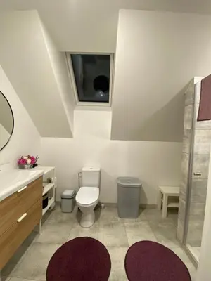 a bathroom with a toilet and a sink at Atostogų namas Twins in Druskininkai