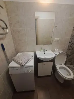 a bathroom with a toilet and a sink and a mirror at Cozy place in Žirmūnai 2 in Vilnius