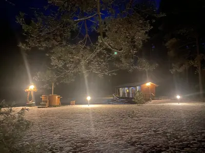 a cabin in the woods at night with lights at Vanago Lizdas in Druskininkai