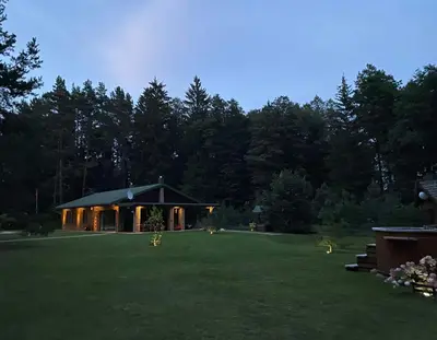 a house in the middle of a large yard at Vanago Lizdas in Druskininkai