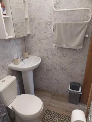 a bathroom with a white toilet and a sink at Lapių Ola in Utena