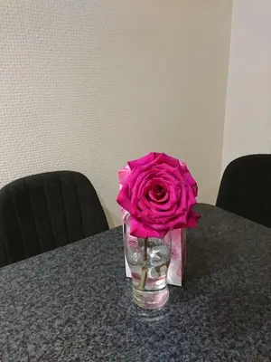 a vase with a pink rose sitting on a table at Link Kauno marių... in Kaunas