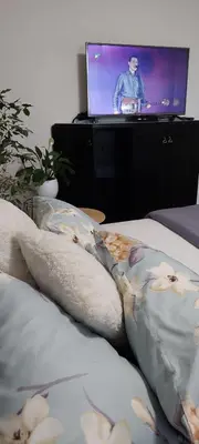 a bedroom with two beds with a tv in the background at Link Kauno marių... in Kaunas